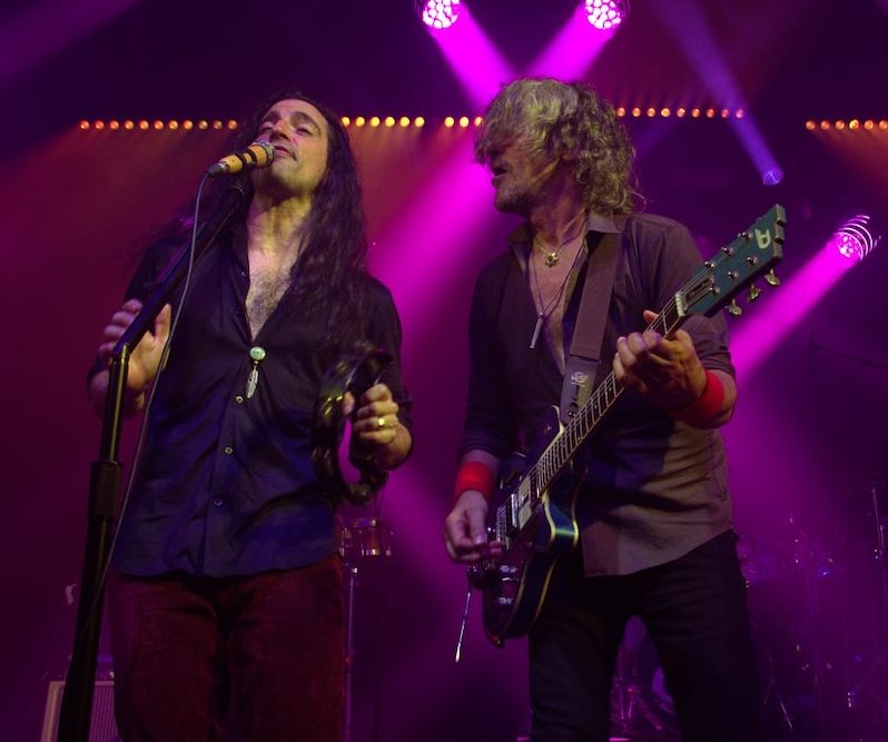 REBROTE GERMINÓ EN EL&nbsp;APOLO